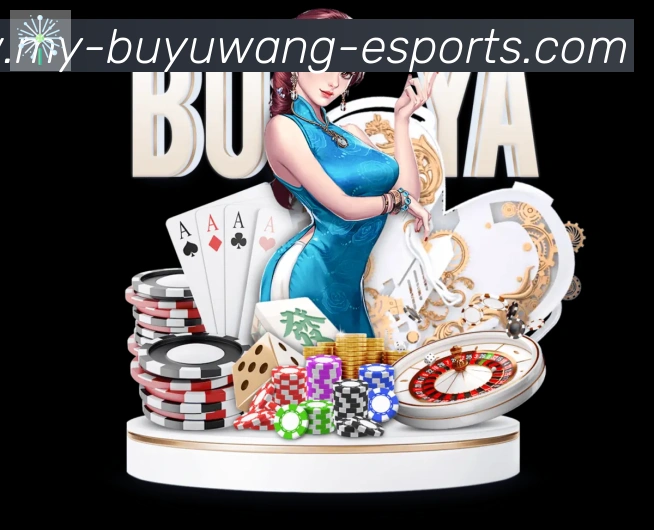 未来规划